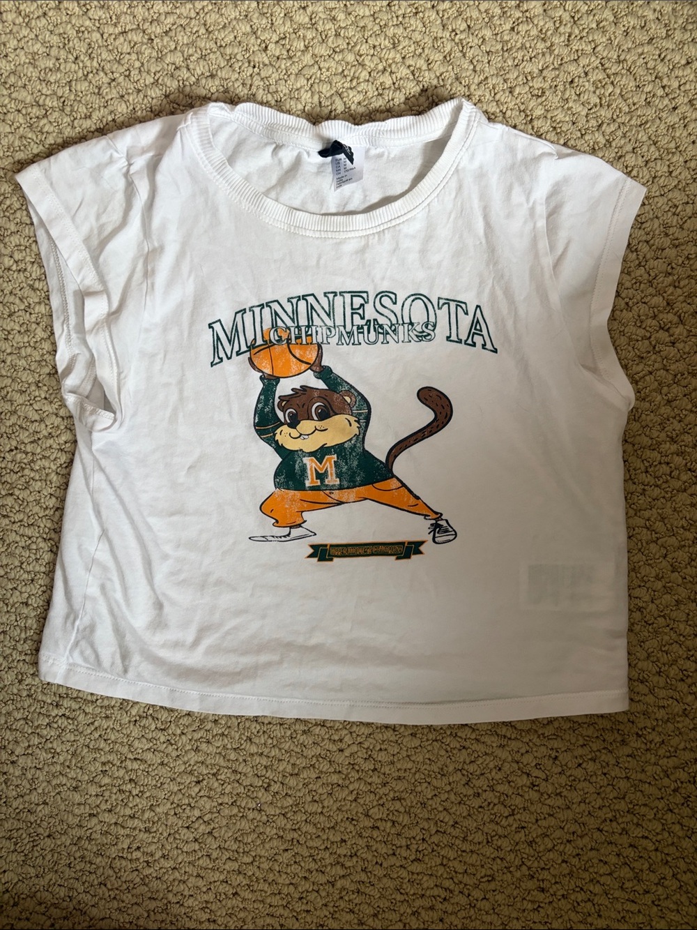 H&M DIVIDED Minnesota Chipmunks White Graphic Crop Top Shirt Tee